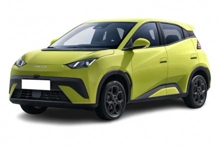 Byd Dolphin Electric 150kW 60kWh Cargo e-Van Auto